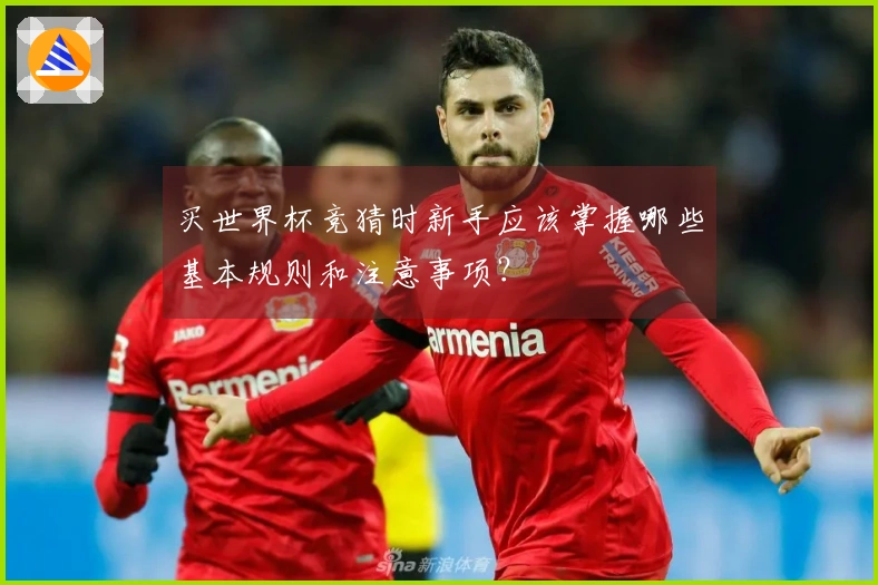 买世界杯竞猜时新手应该掌握哪些基本规则和注意事项？