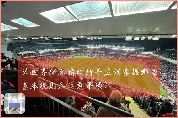 买世界杯竞猜时新手应该掌握哪些基本规则和注意事项?