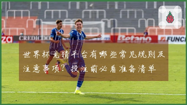 世界杯竞猜平台有哪些常见规则及注意事项？投注前必看准备清单